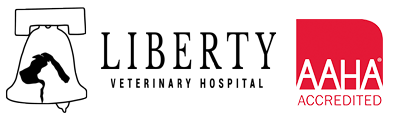 Liberty Logo