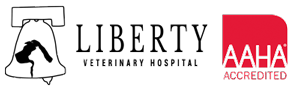 Liberty Logo